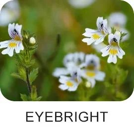 VisiPure